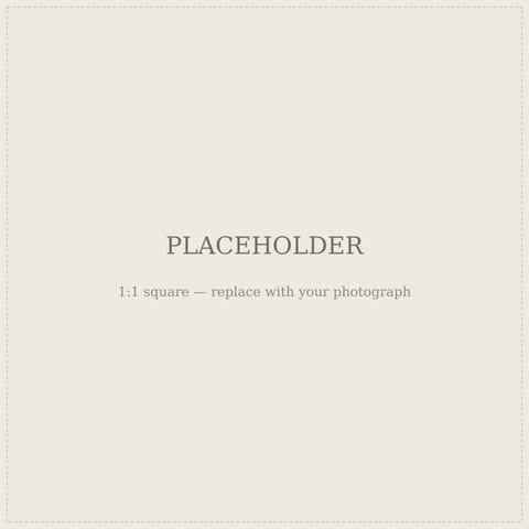 Placeholder image. Replace with a description of your photograph.