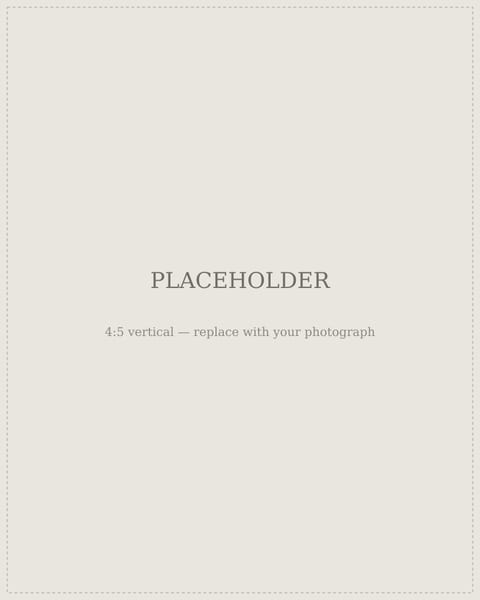 Placeholder image. Replace with a description of your photograph for screen readers and search engines.