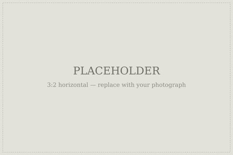 Placeholder image. Replace with a description of your photograph.